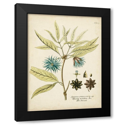 Eloquent Botanical III Black Modern Wood Framed Art Print by Vision Studio