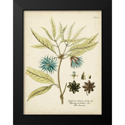 Eloquent Botanical III Black Modern Wood Framed Art Print by Vision Studio