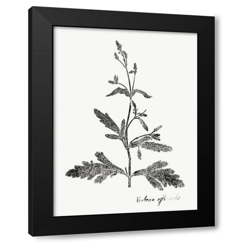 Botanical Imprint III Black Modern Wood Framed Art Print by Vision Studio