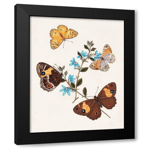 Butterflies and Moths I Black Modern Wood Framed Art Print with Double Matting by Unknown