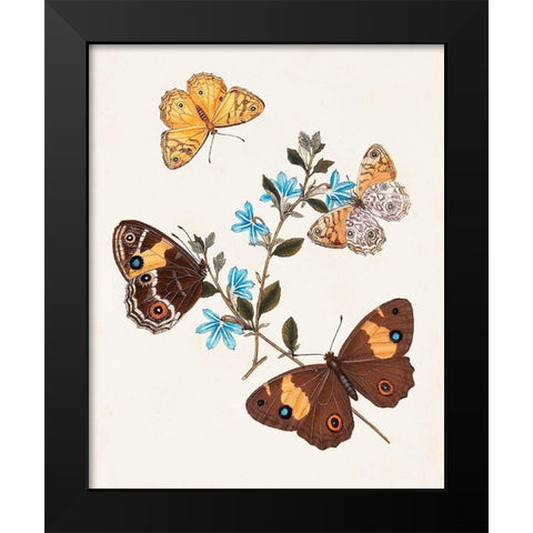 Butterflies and Moths I Black Modern Wood Framed Art Print by Unknown