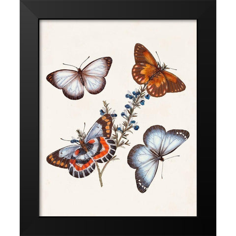 Butterflies and Moths III Black Modern Wood Framed Art Print by Unknown