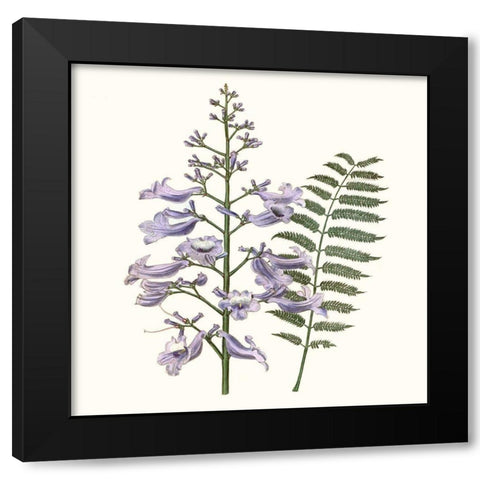 Graceful Botanical III Black Modern Wood Framed Art Print with Double Matting by Vision Studio
