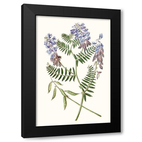 Graceful Botanical V Black Modern Wood Framed Art Print by Vision Studio