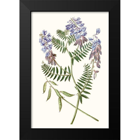 Graceful Botanical V Black Modern Wood Framed Art Print by Vision Studio