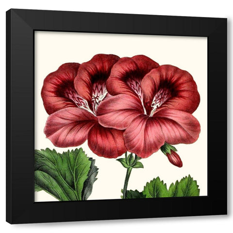 Cropped Antique Botanical IX Black Modern Wood Framed Art Print with Double Matting by Vision Studio