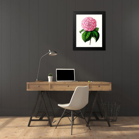 Grand Blooms VI Black Modern Wood Framed Art Print by Unknown