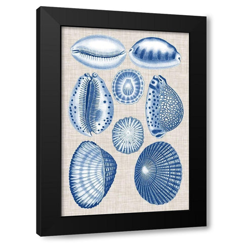 Navy and Linen Shells I Black Modern Wood Framed Art Print by Vision Studio