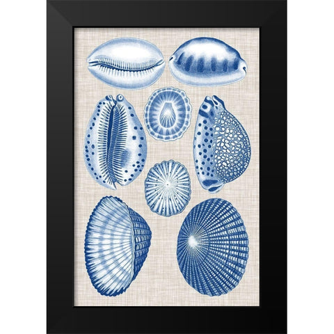 Navy and Linen Shells I Black Modern Wood Framed Art Print by Vision Studio