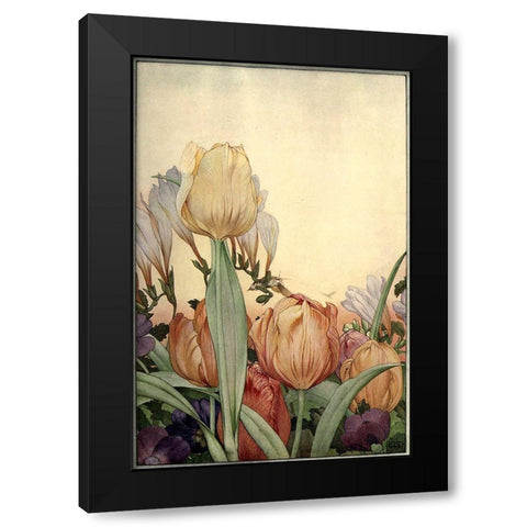Garden Fantasy I Black Modern Wood Framed Art Print by Unknown