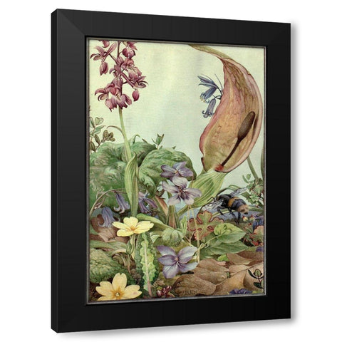 Garden Fantasy II Black Modern Wood Framed Art Print with Double Matting by Unknown