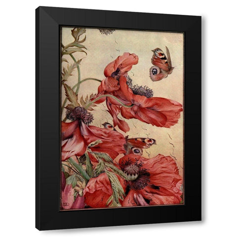 Garden Fantasy III Black Modern Wood Framed Art Print with Double Matting by Unknown