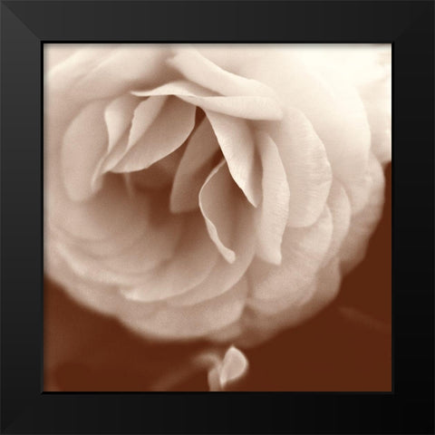 Sepia Rapture II Black Modern Wood Framed Art Print by Stalus, Judy