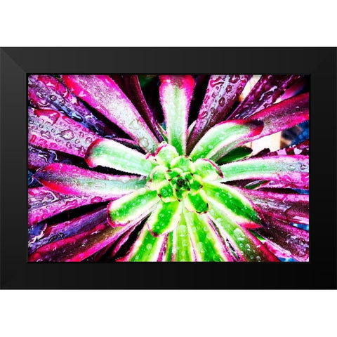 Bright Exotic I Black Modern Wood Framed Art Print by Orlov, Irena