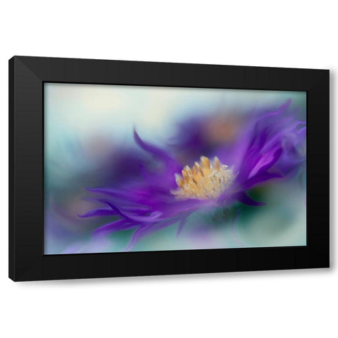 Gold and Purple in the Mist I Black Modern Wood Framed Art Print with Double Matting by Hunt, Gillian