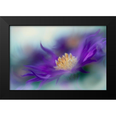 Gold and Purple in the Mist I Black Modern Wood Framed Art Print by Hunt, Gillian