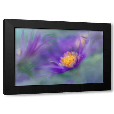 Gold and Purple in the Mist II Black Modern Wood Framed Art Print by Hunt, Gillian