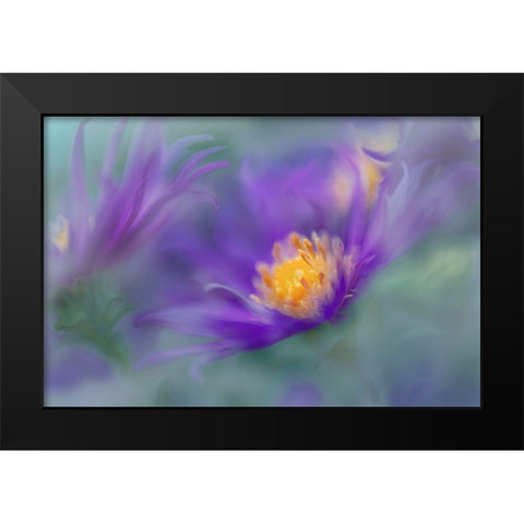 Gold and Purple in the Mist II Black Modern Wood Framed Art Print by Hunt, Gillian