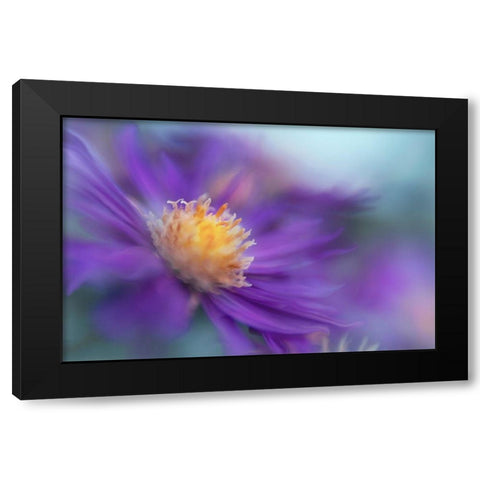 Gold and Purple in the Mist III Black Modern Wood Framed Art Print by Hunt, Gillian