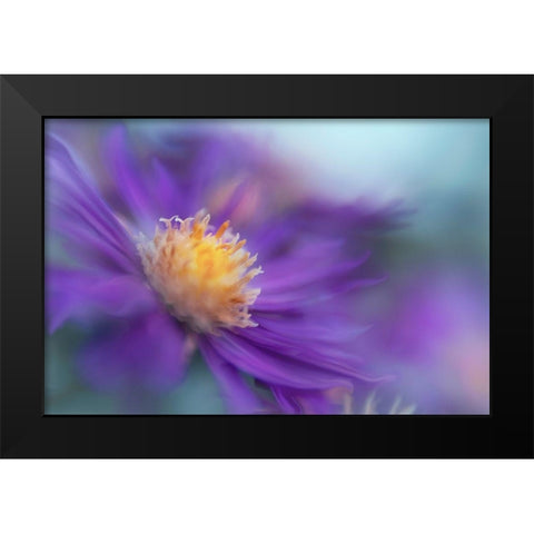 Gold and Purple in the Mist III Black Modern Wood Framed Art Print by Hunt, Gillian