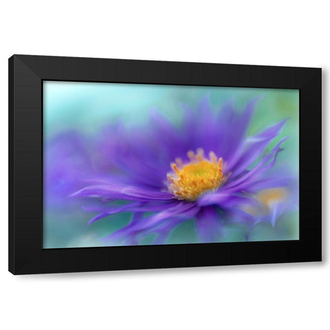 Gold and Purple in the Mist V Black Modern Wood Framed Art Print by Hunt, Gillian