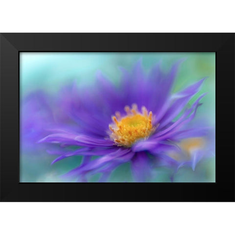 Gold and Purple in the Mist V Black Modern Wood Framed Art Print by Hunt, Gillian