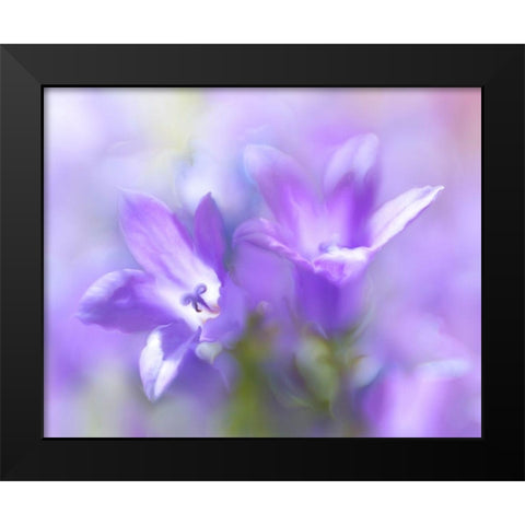 Ring the Bells of Change I Black Modern Wood Framed Art Print by Hunt, Gillian