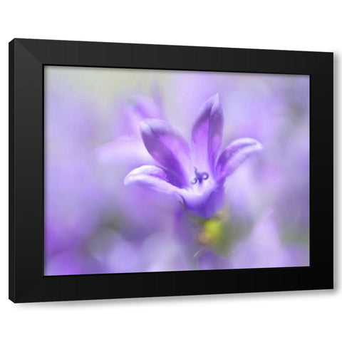 Ring the Bells of Change II Black Modern Wood Framed Art Print by Hunt, Gillian