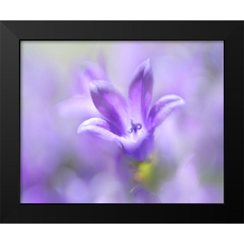 Ring the Bells of Change II Black Modern Wood Framed Art Print by Hunt, Gillian