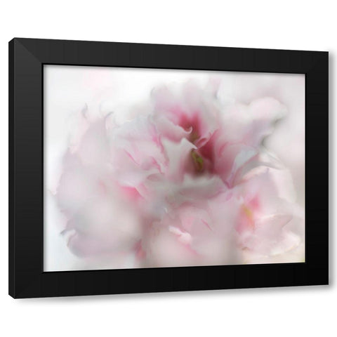 Hope in Pink I Black Modern Wood Framed Art Print by Hunt, Gillian