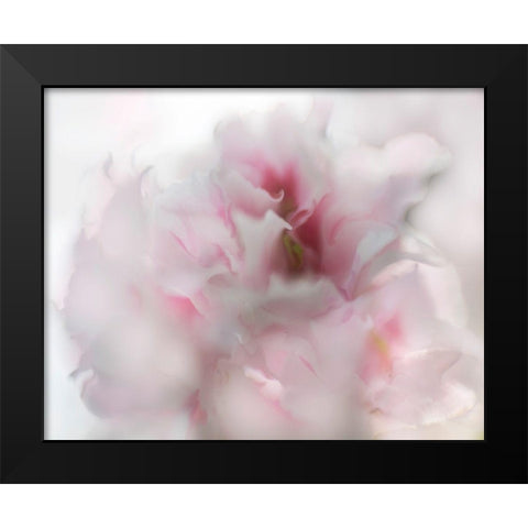 Hope in Pink I Black Modern Wood Framed Art Print by Hunt, Gillian