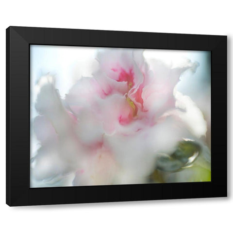 Hope in Pink II Black Modern Wood Framed Art Print by Hunt, Gillian