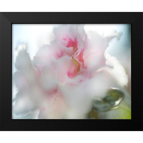 Hope in Pink II Black Modern Wood Framed Art Print by Hunt, Gillian