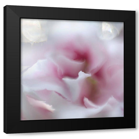 Hope in Pink III Black Modern Wood Framed Art Print by Hunt, Gillian
