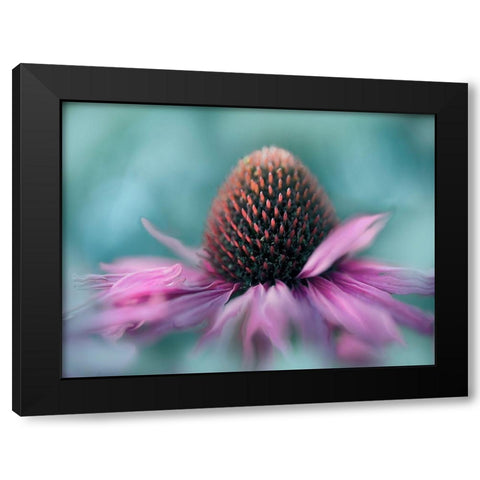 Sing to the Sun I Black Modern Wood Framed Art Print by Hunt, Gillian