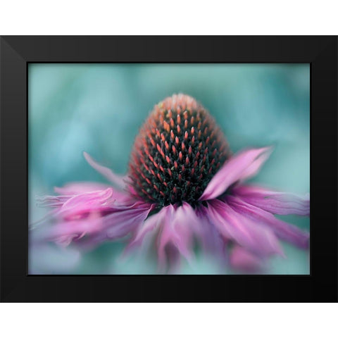 Sing to the Sun I Black Modern Wood Framed Art Print by Hunt, Gillian