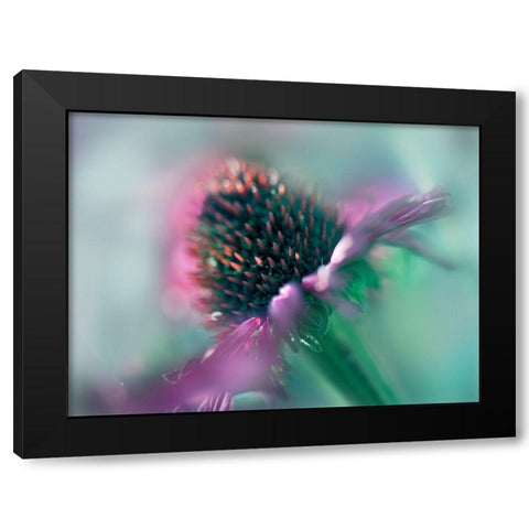 Sing to the Sun IV Black Modern Wood Framed Art Print by Hunt, Gillian