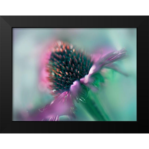 Sing to the Sun IV Black Modern Wood Framed Art Print by Hunt, Gillian