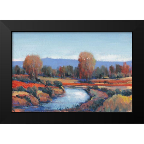 Hidden Creek II Black Modern Wood Framed Art Print by OToole, Tim