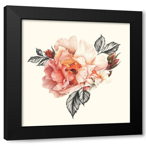 The Light of Day Rose I Black Modern Wood Framed Art Print by Liama, Lily