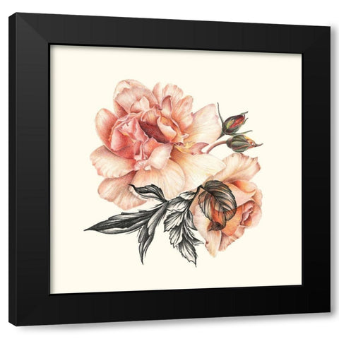 The Light of Day Rose II Black Modern Wood Framed Art Print by Liama, Lily