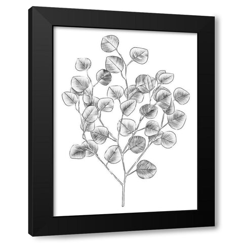 Eucalyptus Sketch I Black Modern Wood Framed Art Print with Double Matting by Scarvey, Emma