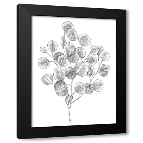 Eucalyptus Sketch II Black Modern Wood Framed Art Print by Scarvey, Emma