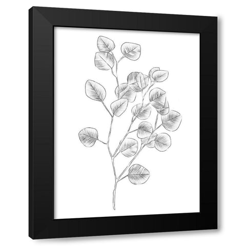 Eucalyptus Sketch III Black Modern Wood Framed Art Print with Double Matting by Scarvey, Emma