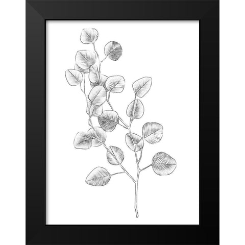 Eucalyptus Sketch IV Black Modern Wood Framed Art Print by Scarvey, Emma