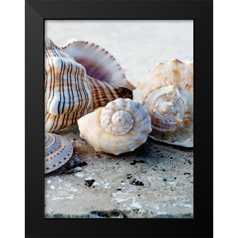 Gifts of the Shore I Black Modern Wood Framed Art Print by Ray, Elena