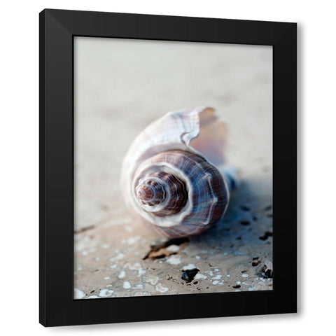 Gifts of the Shore III Black Modern Wood Framed Art Print with Double Matting by Ray, Elena