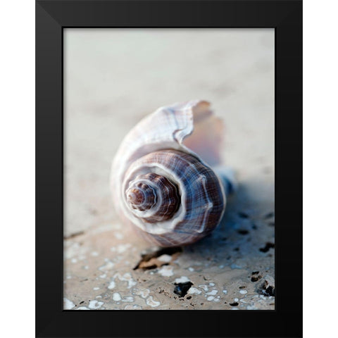 Gifts of the Shore III Black Modern Wood Framed Art Print by Ray, Elena