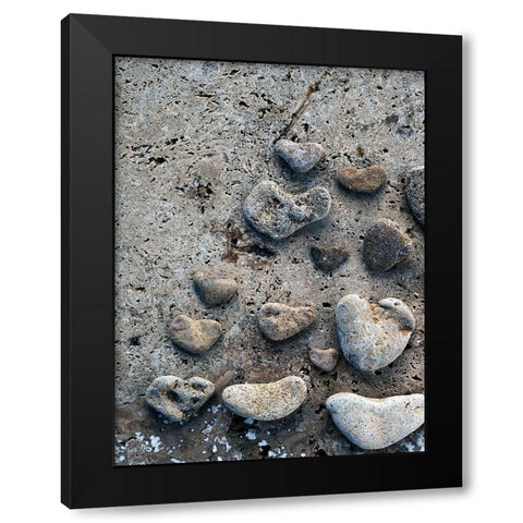 Gifts of the Shore VI Black Modern Wood Framed Art Print by Ray, Elena