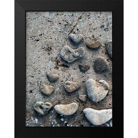 Gifts of the Shore VI Black Modern Wood Framed Art Print by Ray, Elena